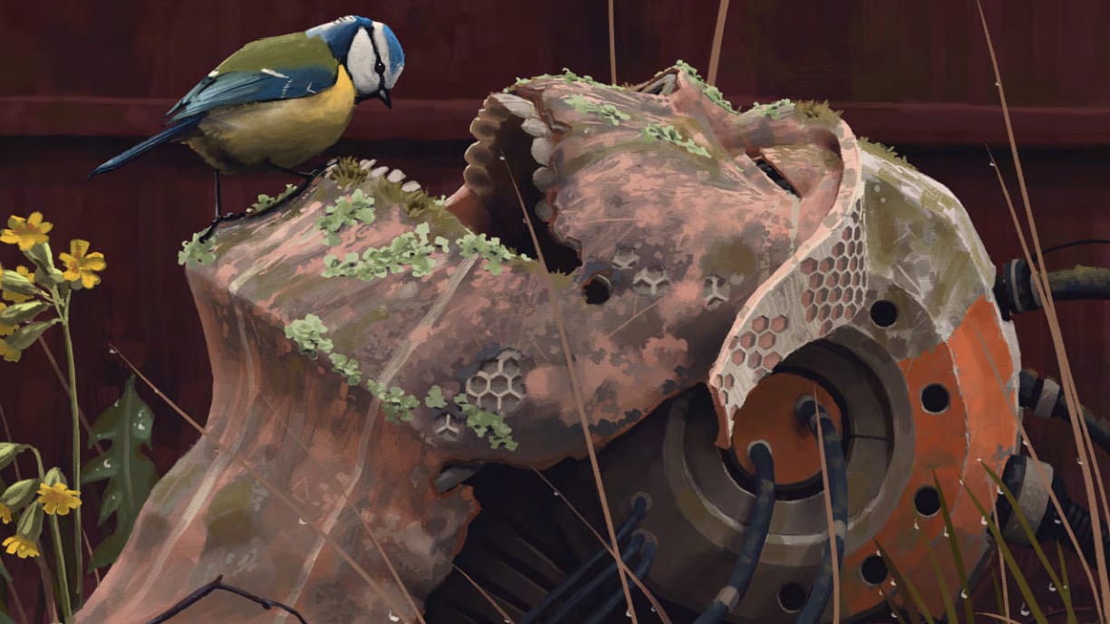 Summer Break & Killer Birds